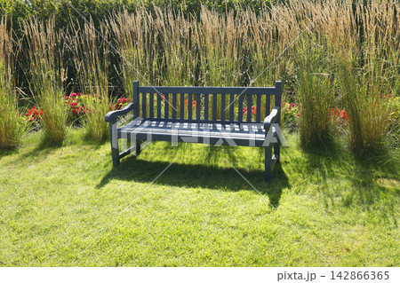 Grey wooden bench in dry ornamental grass. Modern sustainable cottage garden rewilding design concept. Aesthetic drought tolerant summer backyard landscape background. Grey wooden bench in dry ornamental grass. Modern sustainable cottage garden rewilding design concept. Aesthetic drought tolerant summer backyard landscape background. 142866365