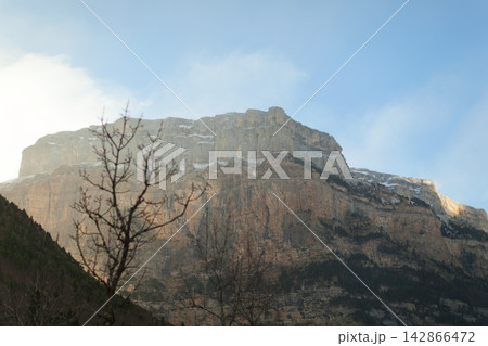Mountain landscape with bare tree and rocky peak Mountain landscape with bare tree and rocky peak 142866472