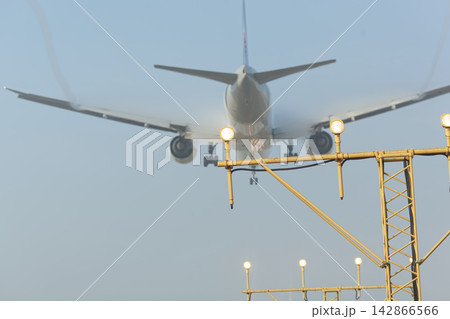 Airplane landing with runway lights Airplane landing with runway lights 142866566