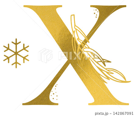 Golden letter X monogram with hand drawn outline rosemary branch and snowflake illustration. Elegant luxury metallic gold alphabet design element for invitations. Initial winter decoration clip art. 142867091