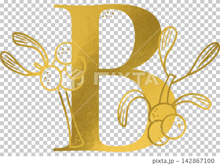 Golden letter B monogram with hand drawn outline mistletoe botanical illustration. Elegant luxury metallic gold alphabet design element for invitations. Initial winter christmas decoration clip art. Golden letter B monogram with hand drawn outline mistletoe botanical illustration. Elegant luxury metallic gold alphabet design element for invitations. Initial winter christmas decoration clip art. 142867100