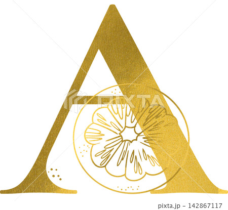 Golden letter A monogram with hand drawn outline orange slice citrus fruit illustration. Elegant luxury metallic gold alphabet design element for invitations. Initial winter decoration clip art. 142867117