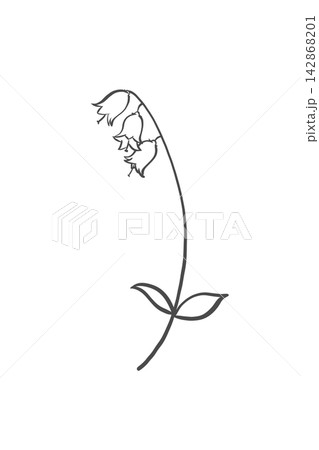 釣鐘形の花が咲く一輪の草花を描いたシンプルな線画 釣鐘形の花が咲く一輪の草花を描いたシンプルな線画 142868201
