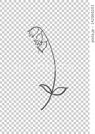 釣鐘形の花が咲く一輪の草花を描いたシンプルな線画 釣鐘形の花が咲く一輪の草花を描いたシンプルな線画 142868201