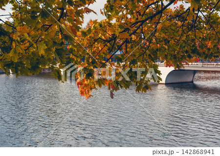 Autumn foliage and waterfront of Lower Pond in Kaliningrad, Russia Autumn foliage and waterfront of Lower Pond in Kaliningrad, Russia 142868941