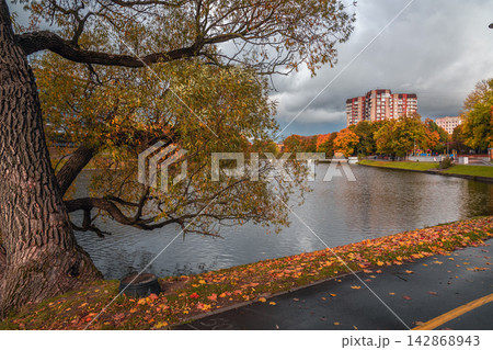 Golden Autumn at Lower Pond in Kaliningrad, Russia Golden Autumn at Lower Pond in Kaliningrad, Russia 142868943