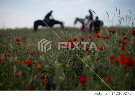 Red poppy meadow at golden hour with horse rider in soft focus, peaceful countryside scene. Red poppy meadow at golden hour with horse rider in soft focus, peaceful countryside scene. 142869279