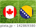 Canada vs Bosnia and Herzegovina football match 142869380