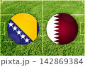 Bosnia and Herzegovina vs Haiti football match 142869384