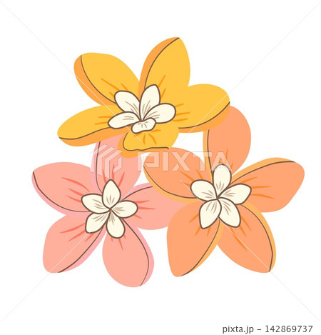 Vector illustration of three tropical plumeria flowers. Hand drawn exotic floral element in pastel colors for logo design, wedding card, and icon. Vector illustration of three tropical plumeria flowers. Hand drawn exotic floral element in pastel colors for logo design, wedding card, and icon. 142869737