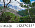 Scenic Mountains Near Petrovac With Lush Pine Forest 142870387