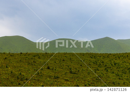 Serene Rolling Green Hills Landscape in Kyrgyzstan 142871126