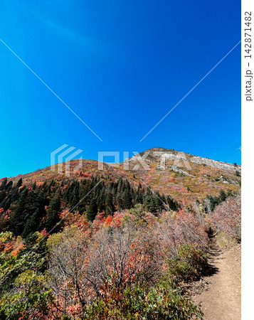 Colorful autumn mountain landscape in Millcreek Canyon, Utah Colorful autumn mountain landscape in Millcreek Canyon, Utah 142871482