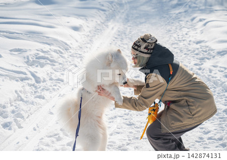 Woman training fluffy samoyed dog to give paw in winter snow Woman training fluffy samoyed dog to give paw in winter snow 142874131