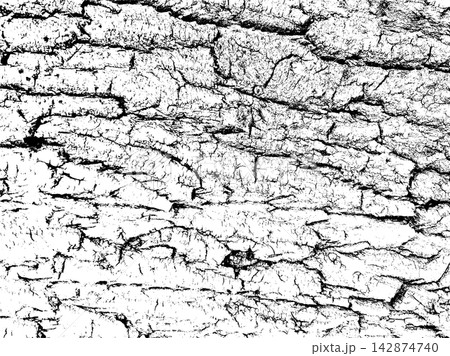 Weathered tree bark surface with irregular cracks and distressed wood texture 142874740