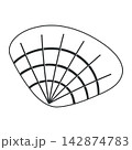 vector seashell in a minimalist style 142874783
