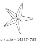 vector sea star in a minimalist style 142874785