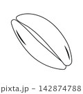 vector seashell in a minimalist style 142874788