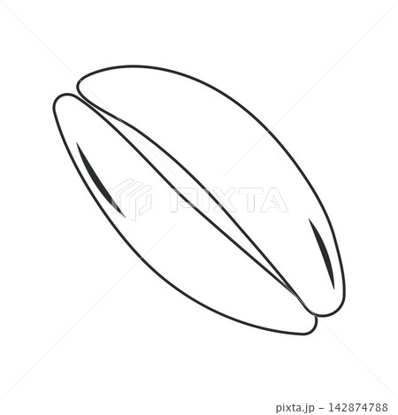 vector seashell in a minimalist style vector seashell in a minimalist style 142874788