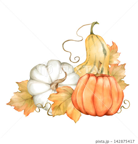 Hand-drawn autumn pumpkin cluster with fall leaves 142875417