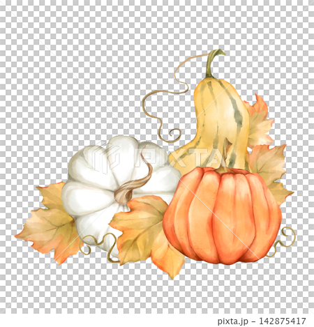 Hand-drawn autumn pumpkin cluster with fall leaves Hand-drawn autumn pumpkin cluster with fall leaves 142875417
