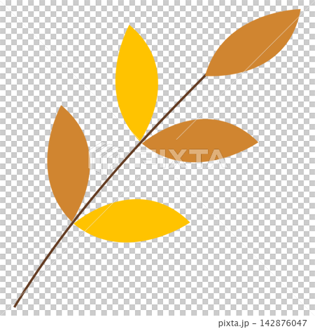 Autumn foliage and leaves in the forest Autumn foliage and leaves in the forest 142876047