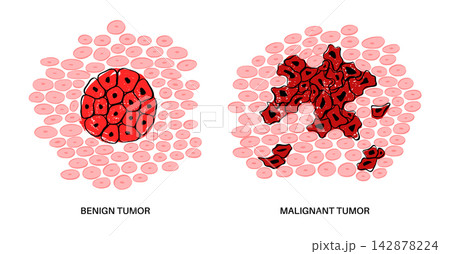 Cells structure sketch Cells structure sketch 142878224
