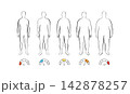 Body mass index 142878257
