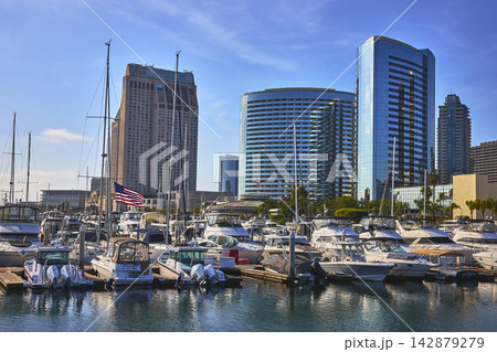 San Diego Harbor Luxury Yachts and Modern Downtown Skyline with American Flag 142879279