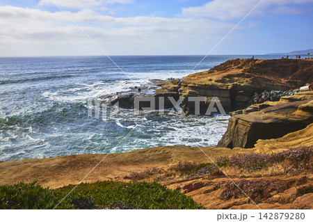 Sunset Cliffs Ocean View with Rocky Coastline and Wildflowers San Diego California Sunset Cliffs Ocean View with Rocky Coastline and Wildflowers San Diego California 142879280