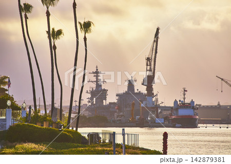 San Diego Bay Palm Trees and Navy Military Ships at Golden Hour San Diego Bay Palm Trees and Navy Military Ships at Golden Hour 142879381