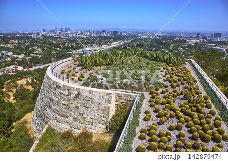 Getty Center Cactus Garden Overlooking Los Angeles Skyline and Urban Landscape Getty Center Cactus Garden Overlooking Los Angeles Skyline and Urban Landscape 142879474