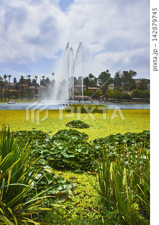 Echo Park Lake Fountain and Aquatic Plants with Palm Trees in Los Angeles California Echo Park Lake Fountain and Aquatic Plants with Palm Trees in Los Angeles California 142879745