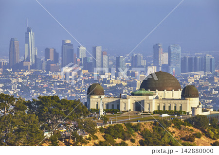 Griffith Observatory and Los Angeles Skyline with Griffith Park Trees Griffith Observatory and Los Angeles Skyline with Griffith Park Trees 142880000