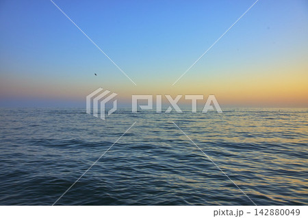 Golden Hour Ocean Horizon and Tranquil Water at Santa Monica California Golden Hour Ocean Horizon and Tranquil Water at Santa Monica California 142880049