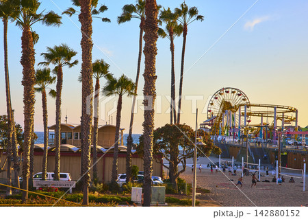 Santa Monica Pier Ferris Wheel and Beach Volleyball with Palm Trees at Sunset California 142880152