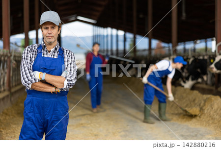 Portrait of successful european male farmer posing in cowshed 142880216