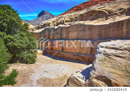 Colorful Quarry Wall and Turtlehead Peak in Red Rock Calico Tanks Nevada Colorful Quarry Wall and Turtlehead Peak in Red Rock Calico Tanks Nevada 142880419