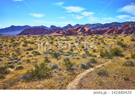 Pinnacles Trail Leading to Red Rock Formations in Vibrant Desert Landscape 142880420