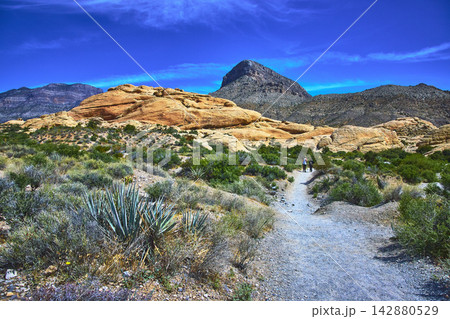 Red Rock Canyon Trail with Hikers and Turtlehead Peak in Nevada Desert Red Rock Canyon Trail with Hikers and Turtlehead Peak in Nevada Desert 142880529