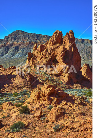 Red Sandstone Pinnacles Desert Landscape and Mountain in Bright Valley of Fire Nevada Red Sandstone Pinnacles Desert Landscape and Mountain in Bright Valley of Fire Nevada 142880776
