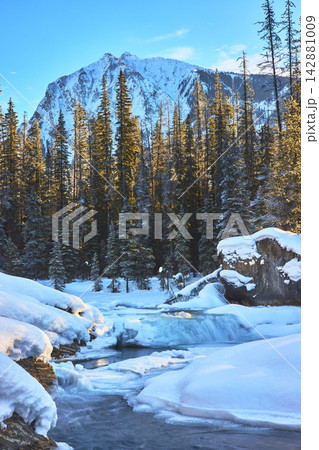 Frozen River and Waterfall Sunrise in Snowy Forest with Mountain Alberta Winter 142881009
