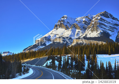 Snowy Mountain Highway and Evergreen Forest in Winter Alberta Canada Snowy Mountain Highway and Evergreen Forest in Winter Alberta Canada 142881019