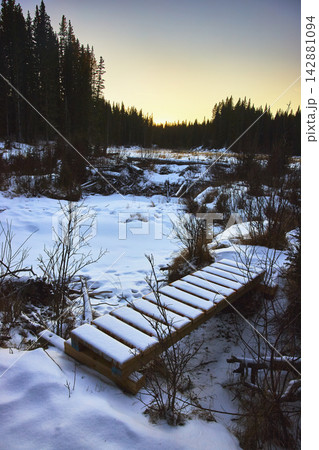Snow Covered Wooden Bridge on Winter Trail with Forest at Dusk Alberta Canada 142881094
