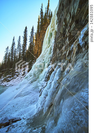 Frozen Waterfall and Rocky Cliff with Evergreen Forest in Winter Alberta 142881095