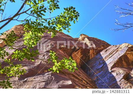 Red Rock Climbers Ascend Sandstone Cliff Framed by Foliage in Nevada Blue Sky Red Rock Climbers Ascend Sandstone Cliff Framed by Foliage in Nevada Blue Sky 142881311
