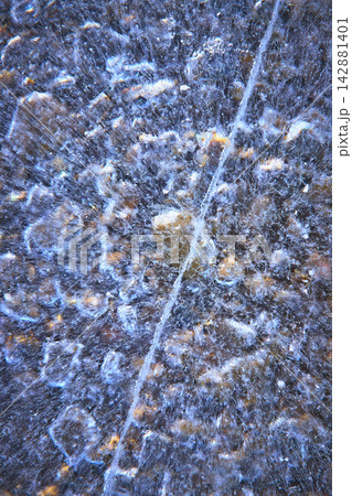 Frozen Lake Ice Bubbles and Crack Abstract Winter Texture Frozen Lake Ice Bubbles and Crack Abstract Winter Texture 142881401