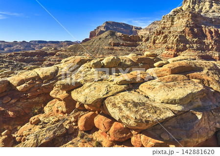 Arizona Strip Sandstone Formations and Virgin River Canyon Landscape Arizona Strip Sandstone Formations and Virgin River Canyon Landscape 142881620