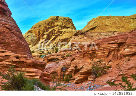 Red Sandstone Formations and Canyon Trail with Blue Sky in Valley of Fire Red Sandstone Formations and Canyon Trail with Blue Sky in Valley of Fire 142881952