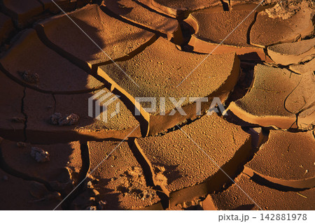 Desert Mud Crack Texture Close Up Arid Ground St Thomas Nevada Desert Mud Crack Texture Close Up Arid Ground St Thomas Nevada 142881978